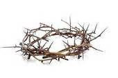 crown of thorns #2