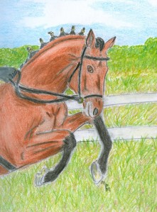 Horse Preparing to Jump