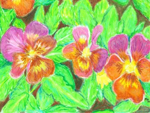 Pansy Bed by Mollie Pearce McKibbon