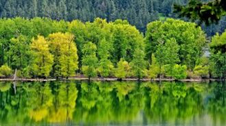 forest_reflection_in_lake_mountain_nature_hd-wallpaper-1500088