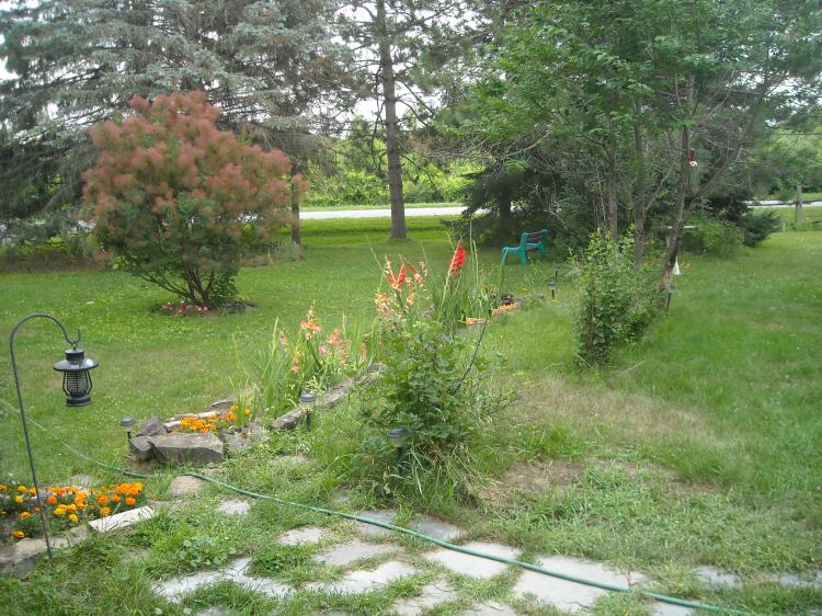 Looking towards Hyndman Road