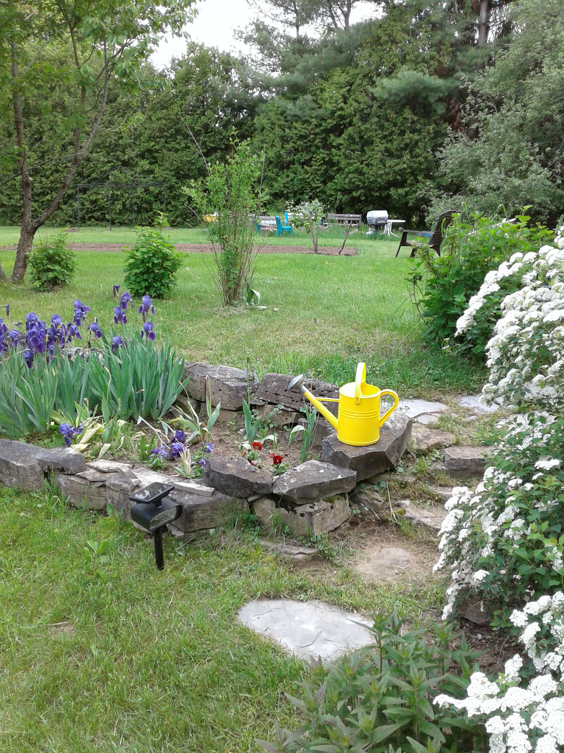 Yellow watering can