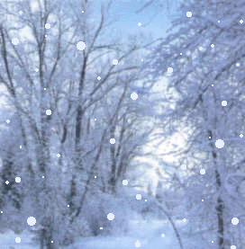 falling_snow_trees