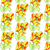 ra-red-and-yellow-tulip_my pattern in Spoonflower