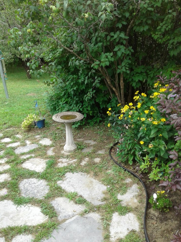 Patio birdbath